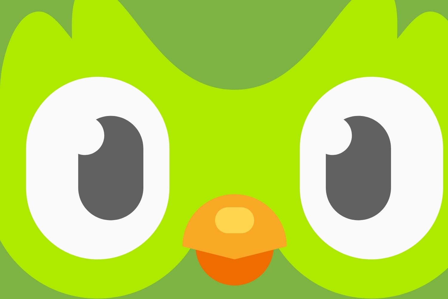 duolingo-test